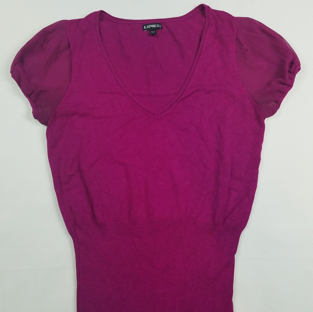 Express V-Neck purple blouse